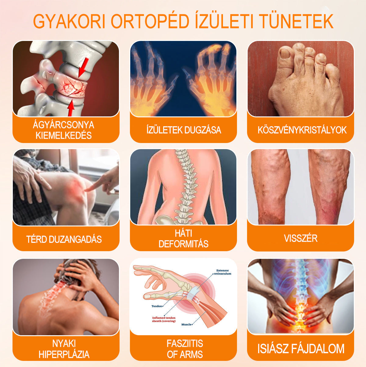 📢Gbpurity Méhméreg és Glükózamin Ízületi Krém – Hivatalos Márkabolt, MOT Jóváhagyással